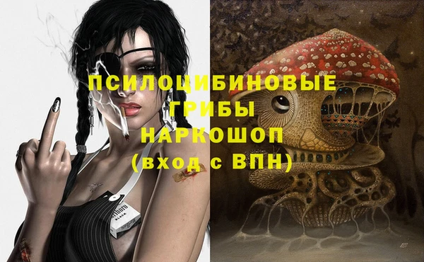дмт Бронницы