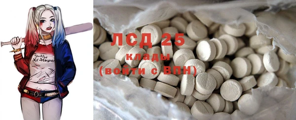 прущие грибы Горняк