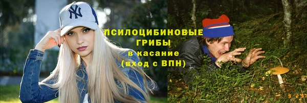 стаф Богородск