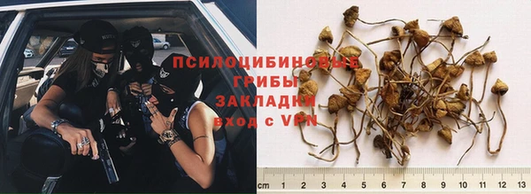 стаф Богородск